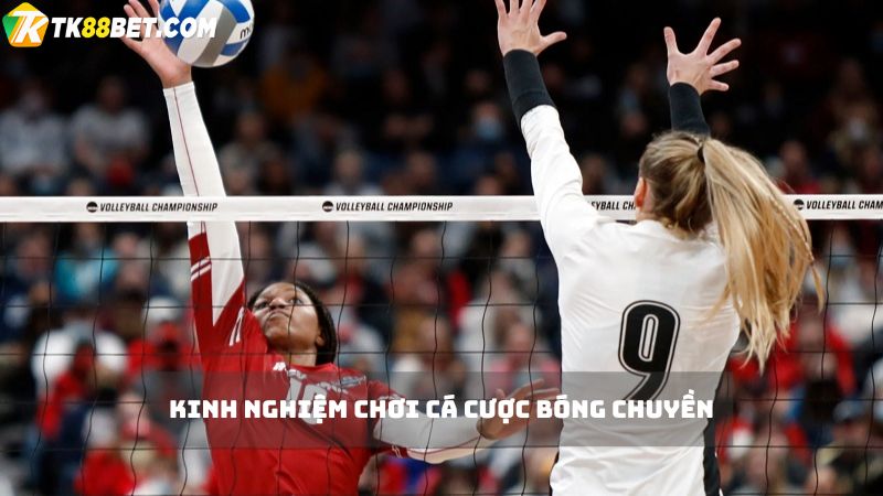 Kinh nghiệm cá cược bóng chuyền