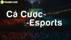 Cá cược Esport TK88