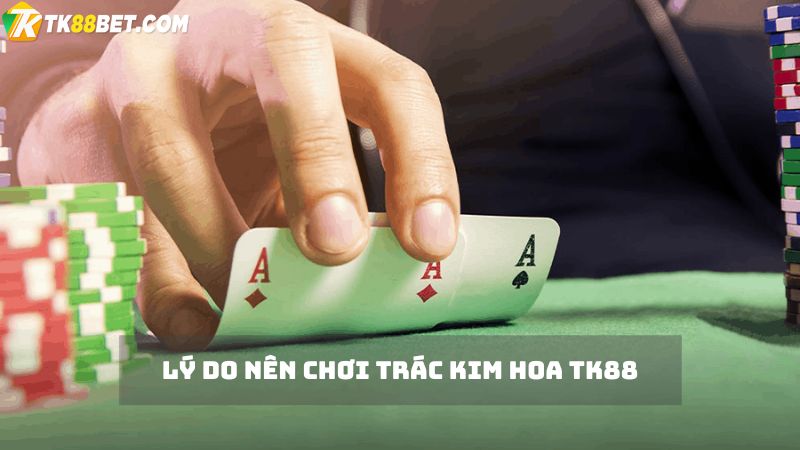 Lý do chọn Trác Kim Hoa TK88